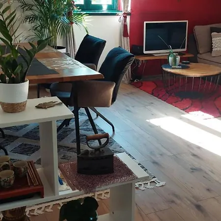 Apartment Superb Sun & Sea Loft *